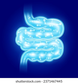 Probiotics blue inside small intestine. Good bacterial flora for stomach. Designing dietary supplements healthy nutrition. Biology lactobacillus. Health care immunity support. Vector.