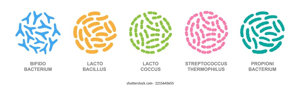 Probiotics in a circle. Good bacteria and microorganisms. Bifidobacterium, lactobacillus, lactococcus, streptococcus thermophilus, propionibacterium.