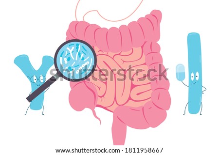 Probiotics concept. Probiotics examine the intestinal microflora. Editable vector illustration. 