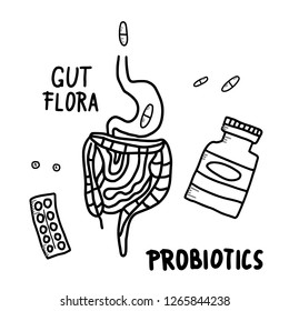 Probiotics concept. Set of treatment of digestive system symbols. Vector illustration. 