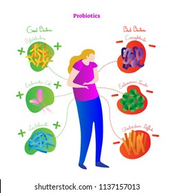 Probiotics conceptual vector illustration poster. Medical labeled diagram with female, stylized good and bad bacteria - bifidobacteria, lactobacilli campylobacter, enterococcus faecalis and others.