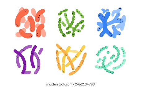 Probiotics. Different colorful microbiome and microbiota. Bifidobacterium and lactobacillus, supplement isolated elements. Gastrointestinal health. Vector cartoon flat style isolated illustration