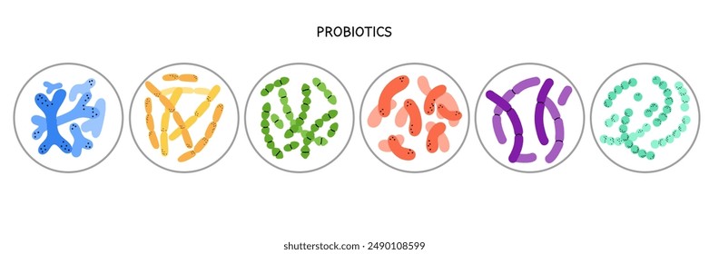 Probiotics. Different colorful microbiome and microbiota. Bifidobacterium and lactobacillus, supplement isolated elements. Gastrointestinal health, vector cartoon flat style isolated illustration