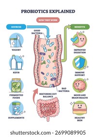 Probiotics explained, brief gut diagram showing good vs bad bacteria with sources and benefits, key objects, intestine, microbes, arrows. Outline diagram
