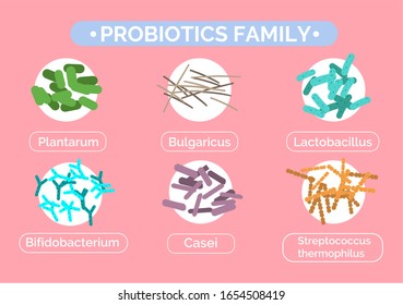 Probiotics family poster with collection of good live bacterias for digestive system. Bulgaricul and bifidobacterium, streptococcus thermophilus, and lactobacillus, casei set. Vector in flat style