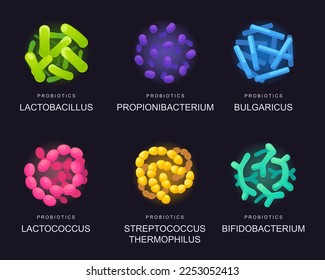 Probiotics for the gastrointestinal. Good bacteria and microorganisms for human health. Lactic acid bacterium, Bifidobacterium, lactobacillus, thermophilic streptococcus, lactococcus.