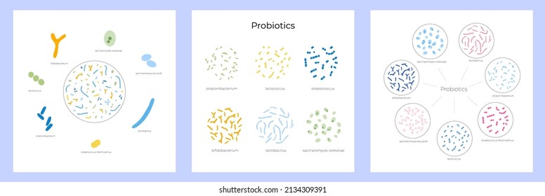 Probióticos y concepto de salud gastrointestinal. Bacteria y microorganismos de bien más comunes. Alimentos saludables, microbiota intestinal humana. Conjunto de ilustraciones aisladas del vector de infografía médica.