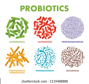 Probiotics. Good bacteria and microorganisms for human health. Microscopic probiotics, good bacterial flora. Vector svg