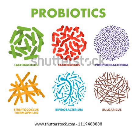 Probiotics. Good bacteria and microorganisms for human health. Microscopic probiotics, good bacterial flora. Vector