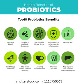 Probiotics health benefits vector infographic. Flat stroke illustration about nutrient rich food and how probiotics influences human body. Top 10 probiotics benefit.