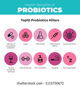 Probiotics health benefits vector infographic. Flat stroke illustration about nutrient rich food and how probiotics influences human body. Top 10 probiotics killer.