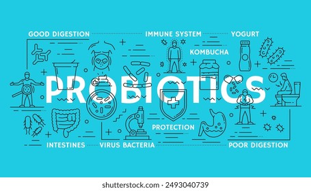 Probiotika und gesunder Darm-Banner für die Magenverdauung Gesundheit, Vektorgrafik Line Icons. Probiotika und Jogurt Lebensmittel für Magen, Darm, Immunsystem und Darm Verdauung oder Verdauungsgesundheit