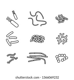 Probiotics icon, vector