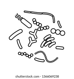 Probiotics icon, vector