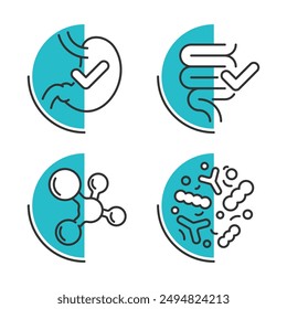 Probiotics icons set for labeling of nutrient supplement - stomach, guts, digestive system and microbiota, in thin line and blue semicircle shapes