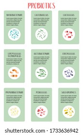 Probiotics infographic. Lactic acid bacteria. Good bacteria for gut and intestinal flora health. Microbiome. Bifidobacterium, lactobacillus, lactococcus, thermophilus streptococcus. Vector set