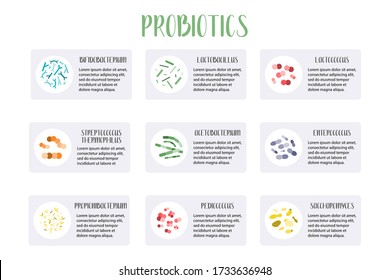 Probiotics infographic. Lactic acid bacteria. Good bacteria for gut and intestinal flora health. Microbiome. Bifidobacterium, lactobacillus, lactococcus, thermophilus streptococcus. Vector set