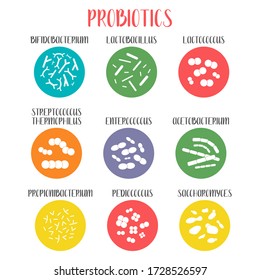 Probiotics. Lactic acid bacteria. Good bacteria and microorganisms for gut and intestinal flora health. Microbiome. Bifidobacterium, lactobacillus,  lactococcus, thermophilus streptococcus. Vector set