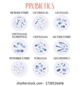 Probiotics. Lactic acid bacteria. Good bacteria and microorganisms for gut and intestinal flora health. Microbiome. Bifidobacterium, lactobacillus, lactococcus, thermophilus streptococcus. Vector set