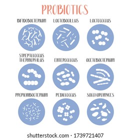 Probiotics. Lactic acid bacteria. Good bacteria and microorganisms for gut and intestinal flora health. Microbiome. Bifidobacterium, lactobacillus,  lactococcus, thermophilus streptococcus. Vector set