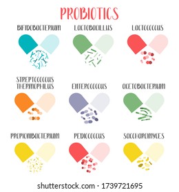 Probiotics. Lactic acid bacteria. Good bacteria and microorganisms for gut and intestinal flora health. Microbiome. Bifidobacterium, lactobacillus,  lactococcus, thermophilus streptococcus. Vector set