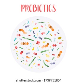 Probiotics. Lactic acid bacteria. Good bacteria and microorganisms for gut and intestinal flora health. Microbiome. Bifidobacterium, lactobacillus,  lactococcus, thermophilus streptococcus. Vector set