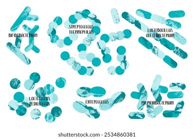 Probióticos. Bactérias láticas. Bons microrganismos para a saúde intestinal e da flora intestinal. Microflora Microbioma. Bifidobacterium, lactobacillus, lactococcus, thermophilus streptococcus Conjunto de vetores