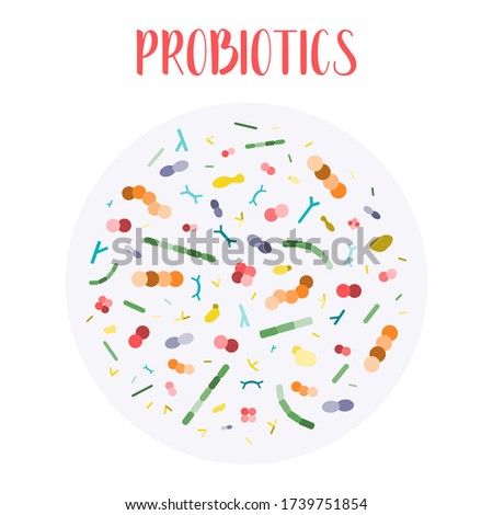 Probiotics. Lactic acid bacteria. Good bacteria and microorganisms for gut and intestinal flora health. Microbiome. Bifidobacterium, lactobacillus,  lactococcus, thermophilus streptococcus. Vector set