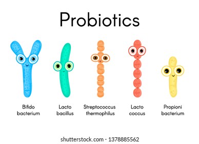 Probiotics. Lactic acid bacterium. Bifidobacterium, lactobacillus, streptococcus thermophilus, lactococcus, propionibacterium. Microbiome. Microbiota. Cute characters. Gastrointestinal health. Vector
