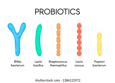 Probiotics. Lactic acid bacterium. Bifidobacterium, lactobacillus, streptococcus thermophilus, lactococcus, propionibacterium. Microbiome. Microbiota. Gastrointestinal health. Medical research. Vector