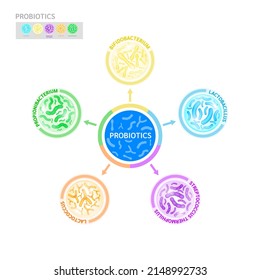 Probiotics lactic acid bacterium in milk, yogurt. Bifidobacterium, lactobacillus, streptococcus thermophilus, lactococcus, propionibacterium. Digestion healthcare concept. Vector EPS10.