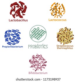 Probiotics, microorganisms of microbial origin. Part of the living microorganisms useful to humans. Increase the biological activity and normal intestinal microflora. Good bacteria.