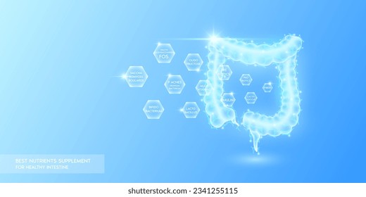 Probióticos multivitaminas con fibra en hexágono absorbidas en el intestino. Mejor suplemento de nutrientes para intestino sano. Innovación médica en la atención de la salud. Poste bajo traslúcido de órganos humanos. Vector.