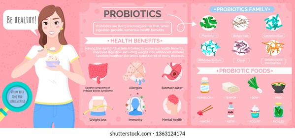 Vetor de pôster de probióticos, tempeh e arco de ingredientes e alimentos especiais, kombucha e kimchi, kefir e iogurte, ícones probióticos multicoloridos, picles e missô para imunidade à perda de peso