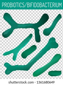 Probiotics, prebiotics. Normal gram-positive anaerobic flora. Vector illustration with lactobacillus in vivid green colors isolated on transparent background. Medical, healthcare, scientific concept