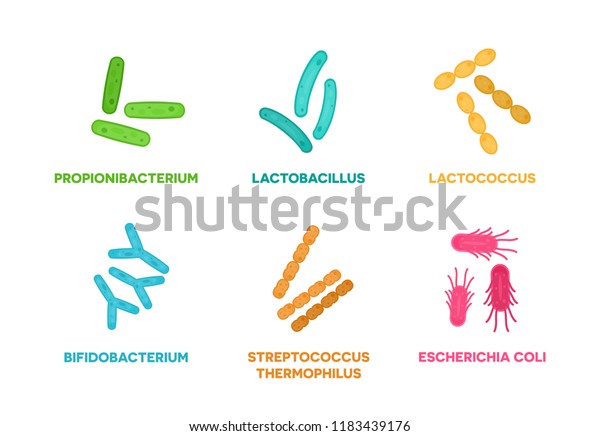 Probiotics Set Good Bacteria Microorganisms Concept Stock Vector ...