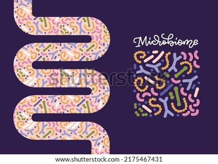 Probiotics in shape of intestines woth microboime pattern. Bifidobacterium, lactobacillus, streptococcus thermophilus, lactococcus, propionibacterium. Vector illustration for banner, poster, package