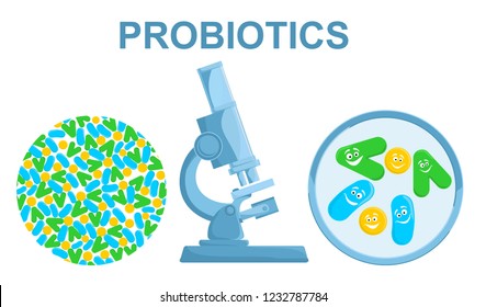 Probiotics under the microscope enlarged image. Good bacteria and microorganisms for human health. Microscopic probiotics, good bacterial flora. Vector