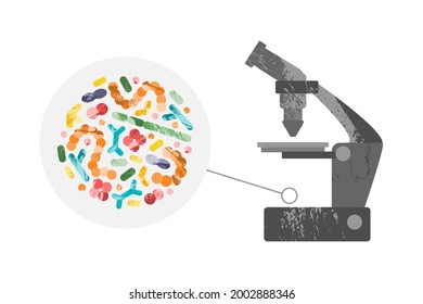 Probiotics under the microscope. Good lactic acid bacteria for gut, intestinal flora health. Microflora. Microbiome. Bifidobacterium, lactobacillus, lactococcus, thermophilus streptococcus. Vector set