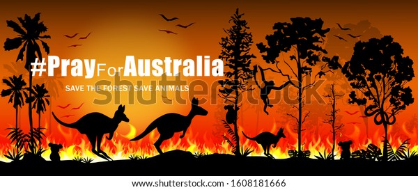 オーストラリアに祈ります 野生動物のカンガルー コアラ 猿 ヘビ 鳥のシルエットを使った森林火災 ベクターイラスト のベクター画像素材 ロイヤリティ フリー