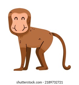 proboscis monkey animal wild character
