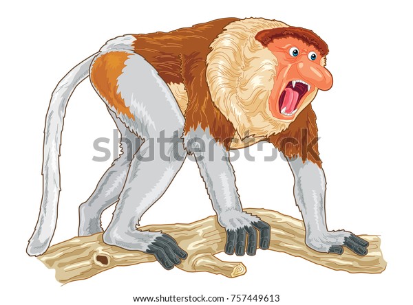 Proboscis Monkey Cartoon Detail Illustration Stock Vector (Royalty Free ...