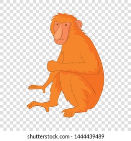 Proboscis monkey icon. Cartoon illustration of proboscis monkey vector icon for web