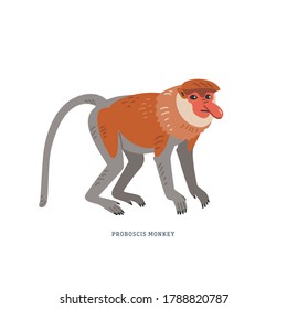 Proboscis monkey. Nasalis larvatus or long-nosed monkey, known as the bekantan in Indonesia, endemic of Borneo. Cartoon animals. Simple Colorful vector illustration in flat cartoon style on white