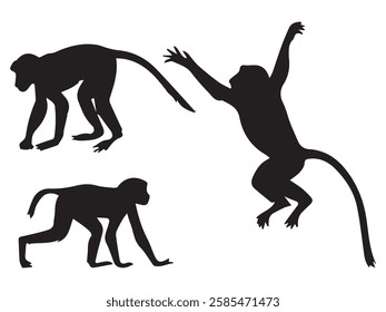 Proboscis Monkey Silhouette Illustration Set