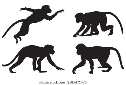 Proboscis Monkey Silhouette Illustration Set