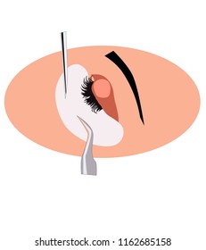 Procedure for eyelash extension. Master tweezers add the false or fake cilia to the client.