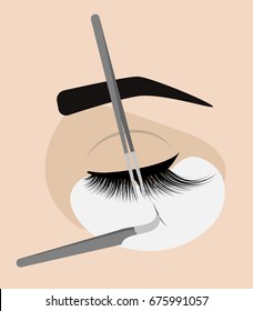 Procedure for eyelash extension. Master tweezers add the false or fake cilia to the client.