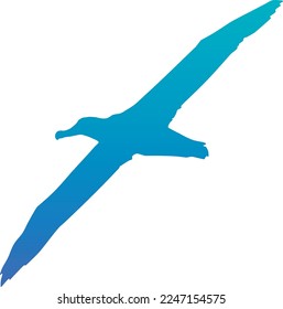 Procellariiformes is an order of seabirds that comprises four families: the albatrosses, the petrels and shearwaters, and two families of storm petrels