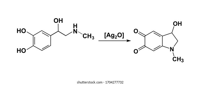 Сhemical process of adrenaline oxidation to adrenochrome condition during complex adrenal metabolism